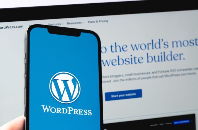 The benefits of hiring a Professional Web Designer to build your WordPress Website by Orlando Web Solutions | OrlandoWebSolutions.net